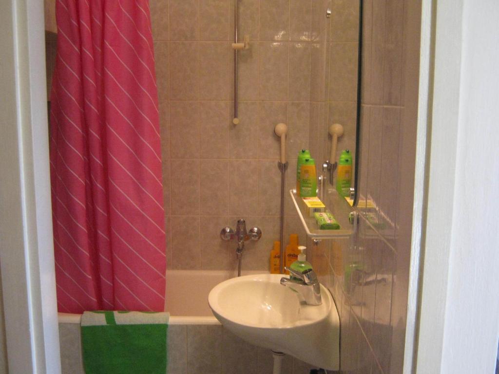 Apartment Apartments&rooms Artemida